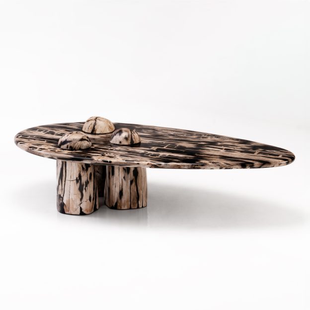 Rocky Montage – Sculptural Petrified Wood Coffee Table by Odditi