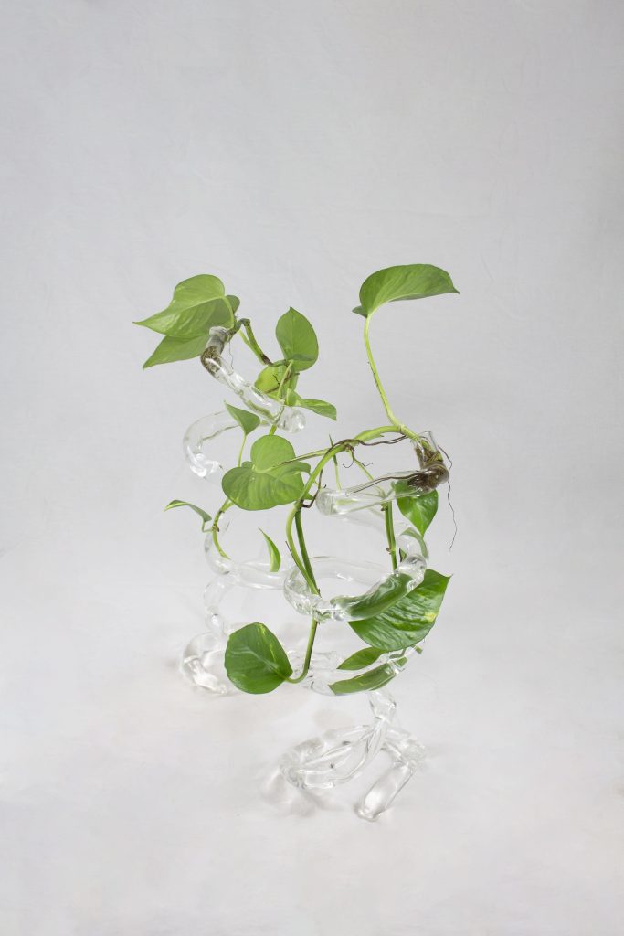 Espiral – Glass Vase by Rain and Rivers