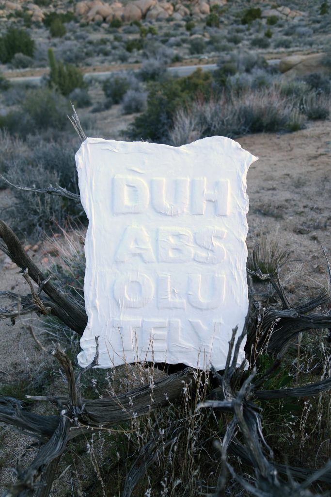 Duh Absolutely – Wall Decor